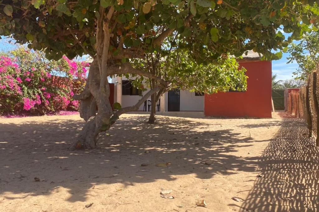 Petite Maison En Bord De Mer Palmarin Nguedj Exterior foto